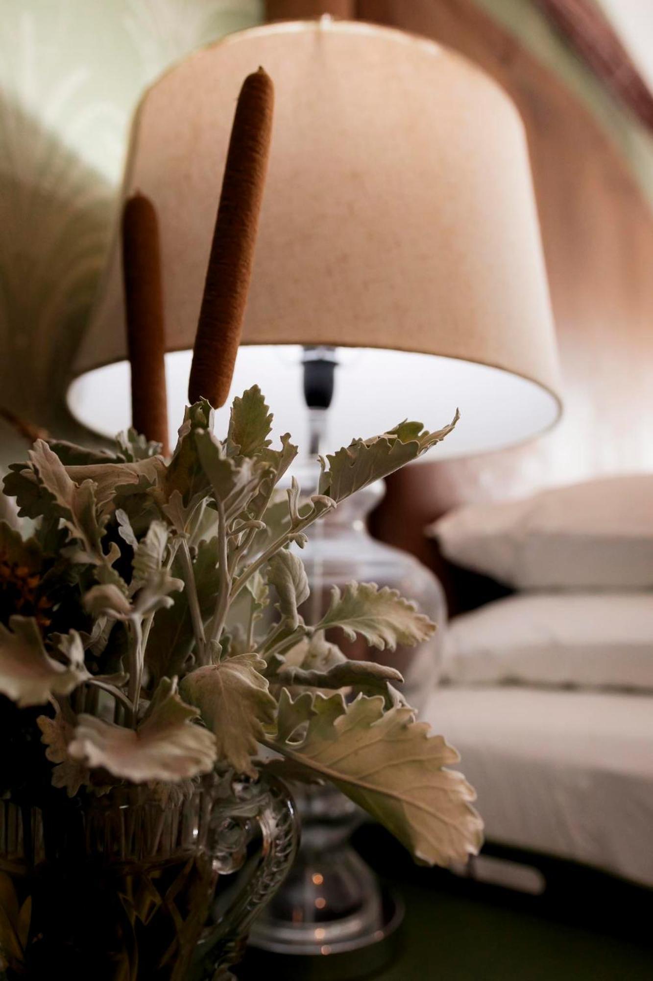 Sweetfontein Boutique Farm Lodge Britstown Экстерьер фото